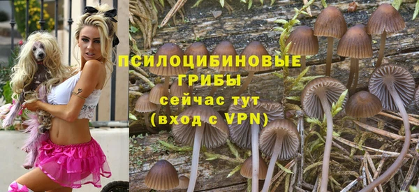 ешки Волосово