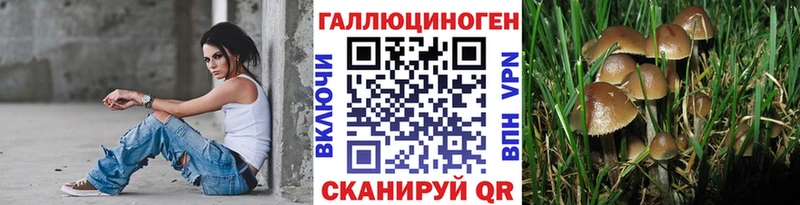 Псилоцибиновые грибы мицелий Калининск